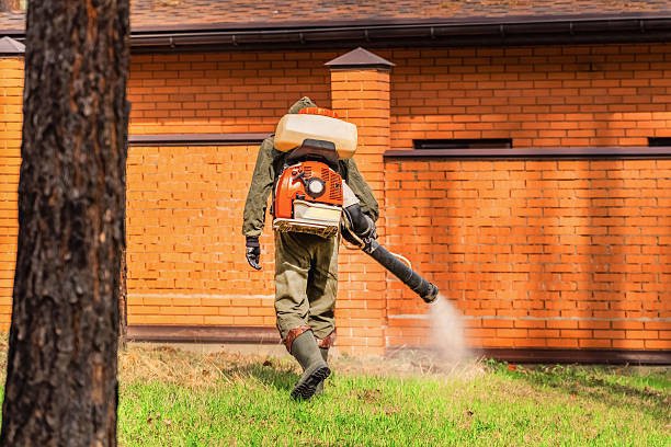 Trusted Mosquito Control service in Gardnertown, NY - Nex Pest Control